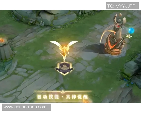 s15赛季电竞选手杨秀英独家揭秘王者荣耀游戏技巧与心得分享 s15赛季电竞选手杨秀英独家揭秘王者荣耀游戏技巧与心得分享