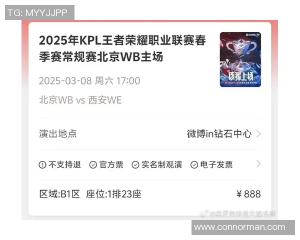 王者荣耀热议WE战队选手个人能力引发的争议与讨论